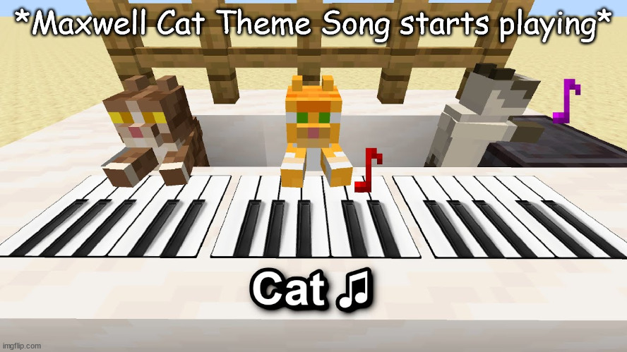 kittys in minecraft playing piano! | *Maxwell Cat Theme Song starts playing* | image tagged in minecraft | made w/ Imgflip meme maker