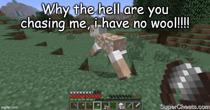 hahahaha minecraft sheep! | Why the hell are you chasing me, i have no wool!!!! | image tagged in minecraft | made w/ Imgflip meme maker