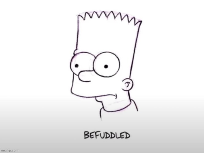 BEFUDDLED | image tagged in befuddled | made w/ Imgflip meme maker