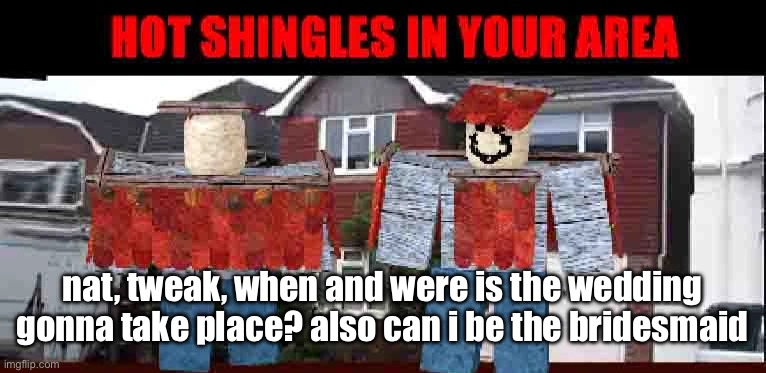 hot shingles in your area | nat, tweak, when and were is the wedding gonna take place? also can i be the bridesmaid | image tagged in hot shingles in your area | made w/ Imgflip meme maker