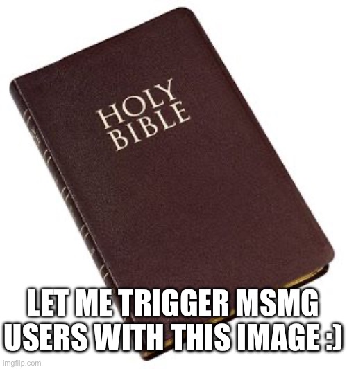 Holy Bible | LET ME TRIGGER MSMG USERS WITH THIS IMAGE :) | image tagged in holy bible | made w/ Imgflip meme maker