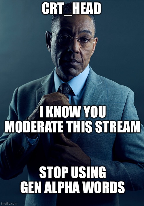 Cease | CRT_HEAD; I KNOW YOU MODERATE THIS STREAM; STOP USING GEN ALPHA WORDS | image tagged in stop it,meme war,gen alpha | made w/ Imgflip meme maker