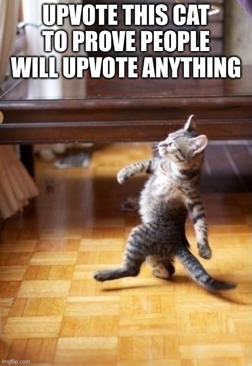 I challenge you | UPVOTE THIS CAT TO PROVE PEOPLE WILL UPVOTE ANYTHING | image tagged in memes,cool cat stroll | made w/ Imgflip meme maker