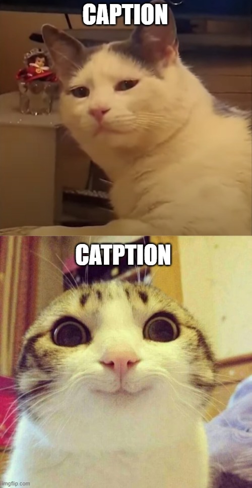 catption | CAPTION; CATPTION | image tagged in side eye cat,memes,smiling cat | made w/ Imgflip meme maker