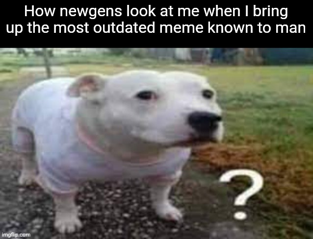 Dog question mark | How newgens look at me when I bring up the most outdated meme known to man | image tagged in dog question mark | made w/ Imgflip meme maker