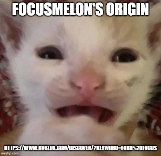 . | FOCUSMELON'S ORIGIN; HTTPS://WWW.ROBLOX.COM/DISCOVER/?KEYWORD=FORD%20FOCUS | made w/ Imgflip meme maker