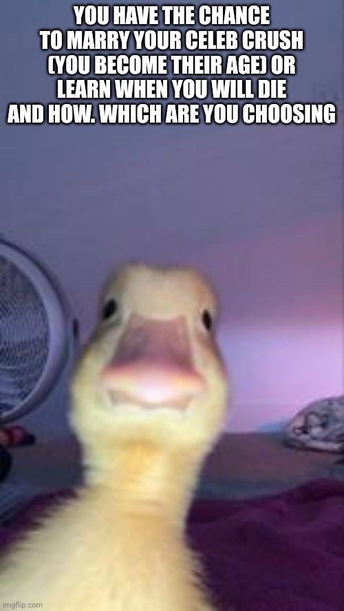 Duckling Bruh | YOU HAVE THE CHANCE TO MARRY YOUR CELEB CRUSH (YOU BECOME THEIR AGE) OR LEARN WHEN YOU WILL DIE AND HOW. WHICH ARE YOU CHOOSING | image tagged in duckling bruh | made w/ Imgflip meme maker