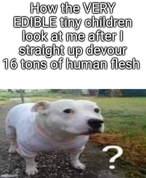 Dog question mark | How the VERY EDIBLE tiny children look at me after I straight up devour 16 tons of human flesh | image tagged in dog question mark | made w/ Imgflip meme maker