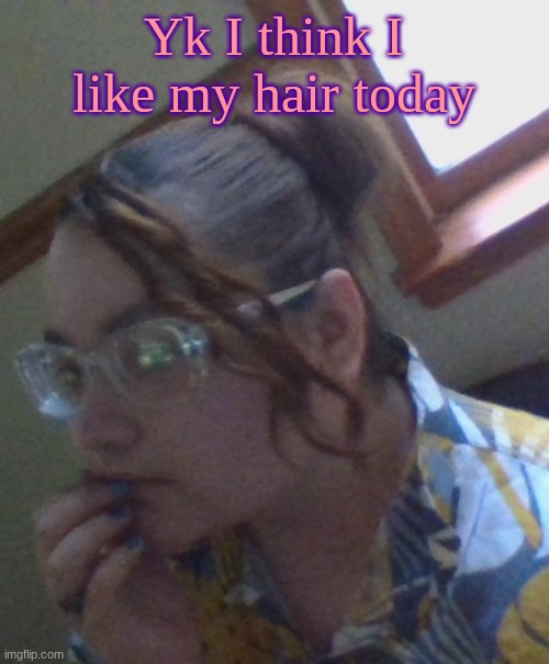 Yeah yeah bad cam quality ik. | Yk I think I like my hair today | made w/ Imgflip meme maker