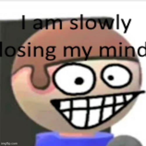 im slowly losing my mind | image tagged in im slowly losing my mind | made w/ Imgflip meme maker