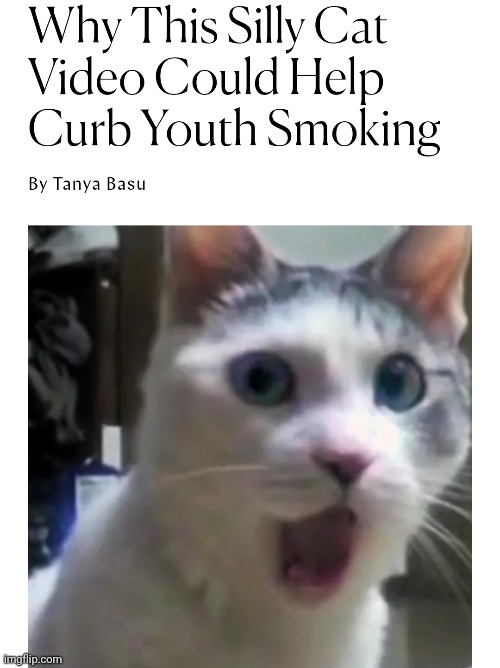 Real article btw | made w/ Imgflip meme maker