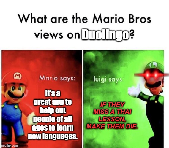 Mario and Luigi's opinions about Duolingo. | Duolingo; It's a great app to help out people of all ages to learn new languages. IF THEY MISS A THAI LESSON, MAKE THEM DIE. | image tagged in mario bros views,mario,what are the mario bros views on,memes,funny,luigi | made w/ Imgflip meme maker