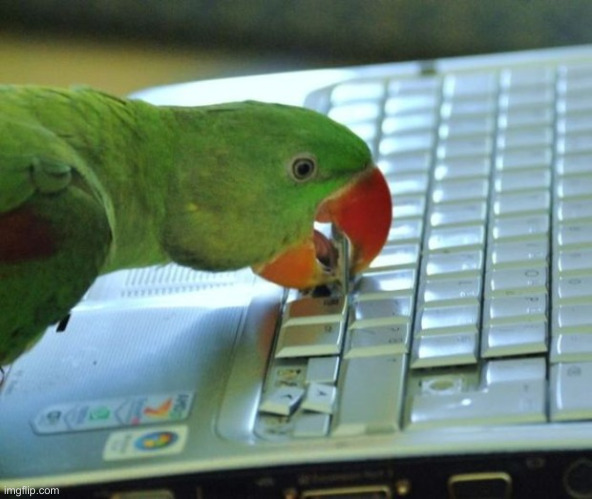 Parrot pc | image tagged in parrot pc | made w/ Imgflip meme maker