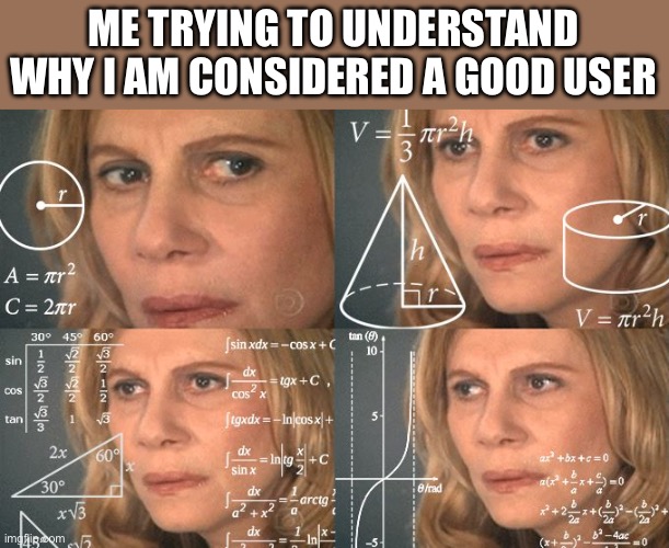 why tho? | ME TRYING TO UNDERSTAND WHY I AM CONSIDERED A GOOD USER | image tagged in calculating meme | made w/ Imgflip meme maker