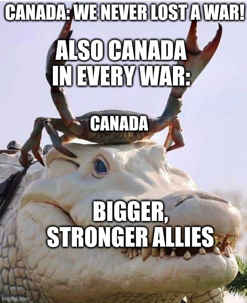 CANADA: WE NEVER LOST A WAR! ALSO CANADA IN EVERY WAR:; CANADA; BIGGER, STRONGER ALLIES | made w/ Imgflip meme maker