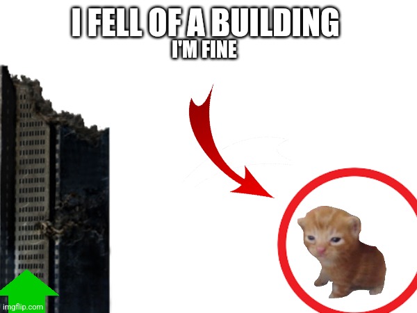 YT: | I FELL OF A BUILDING; I'M FINE | image tagged in cat,goober | made w/ Imgflip meme maker