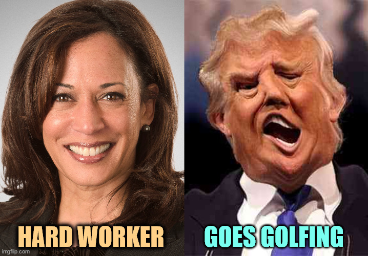 In addition to being weird, he's also incredibly lazy. | HARD WORKER; GOES GOLFING | image tagged in kamala harris sane donald trump crazy on acid,kamala harris,hard work,trump,golf,old | made w/ Imgflip meme maker