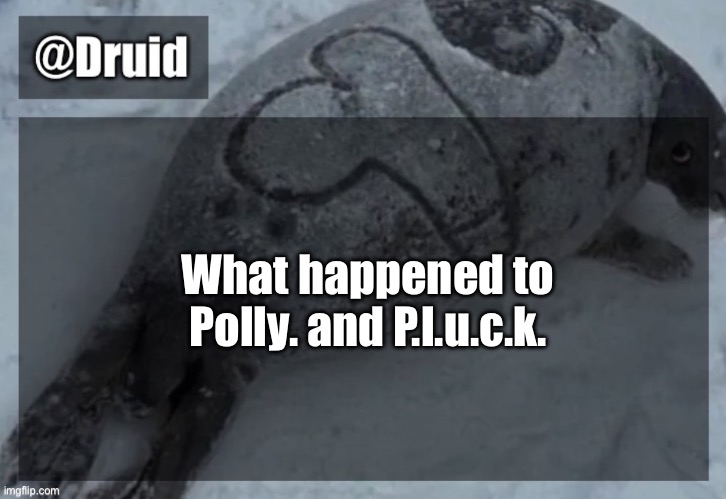 Miss them | What happened to Polly. and P.l.u.c.k. | image tagged in y | made w/ Imgflip meme maker