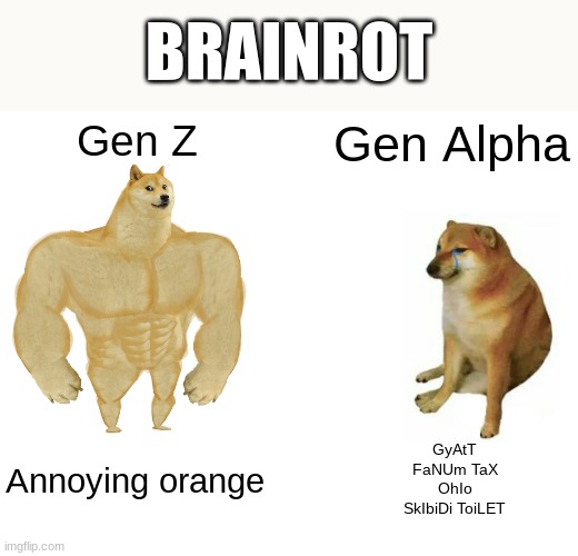 Annoying orange was actually good | BRAINROT; Gen Z; Gen Alpha; Annoying orange; GyAtT
FaNUm TaX
OhIo
SkIbiDi ToiLET | image tagged in buff doge vs cheems,annoying orange | made w/ Imgflip meme maker