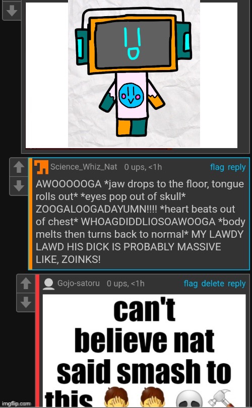 the character’s a girl btw so that makes nat g- | image tagged in can't believe nat said smash to this | made w/ Imgflip meme maker