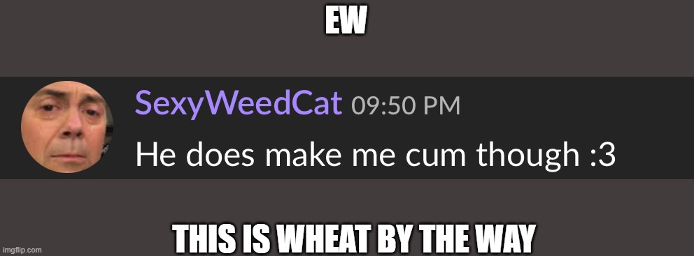 He does make me c*m though :3 | EW; THIS IS WHEAT BY THE WAY | image tagged in he does make me c m though 3 | made w/ Imgflip meme maker