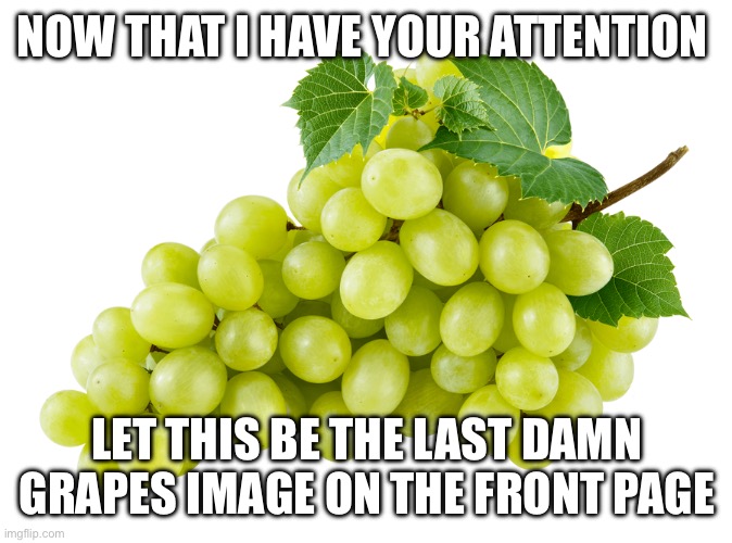 stop the grapes | NOW THAT I HAVE YOUR ATTENTION; LET THIS BE THE LAST DAMN GRAPES IMAGE ON THE FRONT PAGE | image tagged in grapes | made w/ Imgflip meme maker