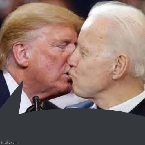 Donald and Joe being best friends | image tagged in donald and joe being best friends | made w/ Imgflip meme maker