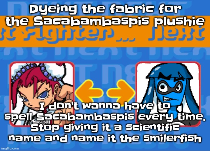 Seriously | Dyeing the fabric for the Sacabambaspis plushie; I don't wanna have to spell Sacabambaspis every time. Stop giving it a scientific name and name it the smilerfish | image tagged in i'm dead bro | made w/ Imgflip meme maker