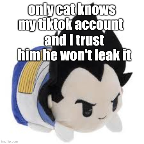 vegeta plush | only cat knows my tiktok account; and I trust him he won't leak it | image tagged in vegeta plush | made w/ Imgflip meme maker