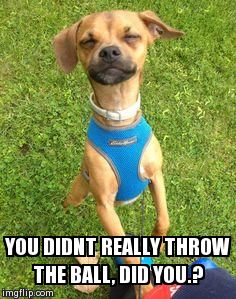 YOU DIDNT REALLY THROW THE BALL, DID YOU.? | made w/ Imgflip meme maker