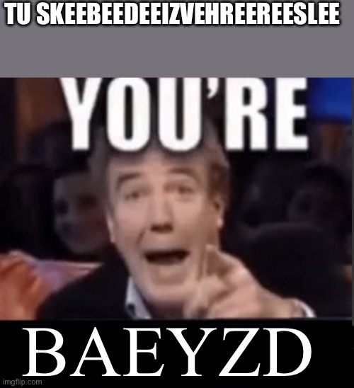 You're X (Blank) | TU SKEEBEEDEEIZVEHREEREESLEE; BAEYZD | image tagged in you're x blank | made w/ Imgflip meme maker