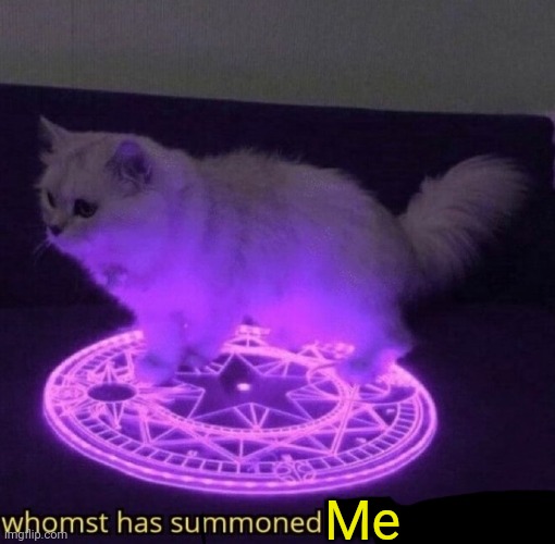 Whomst has summoned the almighty one | Me | image tagged in whomst has summoned the almighty one | made w/ Imgflip meme maker