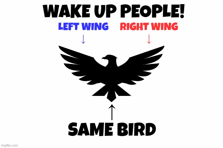 Wake up People | WAKE UP PEOPLE! LEFT WING
↓; RIGHT WING
↓; ↑
SAME BIRD | image tagged in democrats,republicans,maga,make america great again,division,unity | made w/ Imgflip meme maker