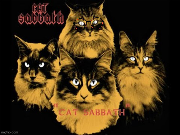 Cat Sabbath | image tagged in cat | made w/ Imgflip meme maker