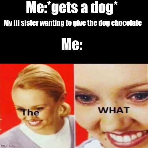 My doggy | Me:*gets a dog*; My lil sister wanting to give the dog chocolate; Me: | image tagged in dog | made w/ Imgflip meme maker