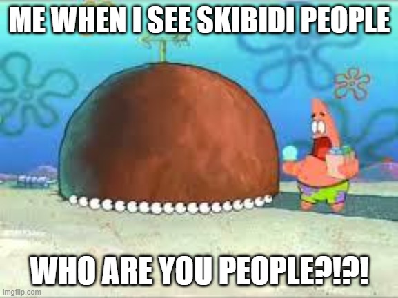 WHO ARE YOU PEOPLE? | ME WHEN I SEE SKIBIDI PEOPLE; WHO ARE YOU PEOPLE?!?! | image tagged in who are you people,cringe,oh no cringe,skibidi,skibidi toilet sucks,skibidi toilet | made w/ Imgflip meme maker