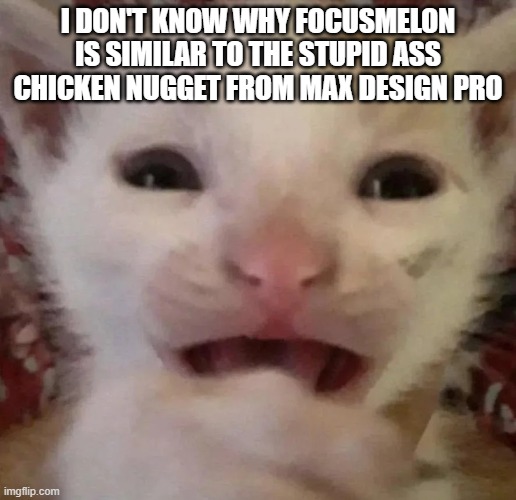 . | I DON'T KNOW WHY FOCUSMELON IS SIMILAR TO THE STUPID ASS CHICKEN NUGGET FROM MAX DESIGN PRO | made w/ Imgflip meme maker