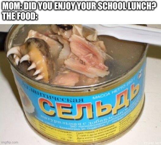 Gross foreign foods | MOM: DID YOU ENJOY YOUR SCHOOL LUNCH?
THE FOOD: | image tagged in gross foreign foods | made w/ Imgflip meme maker