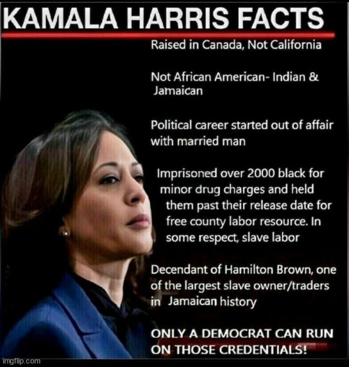 Kamala Harris facts... they don't want to brag about | image tagged in kamala sucks,that is a fact | made w/ Imgflip meme maker