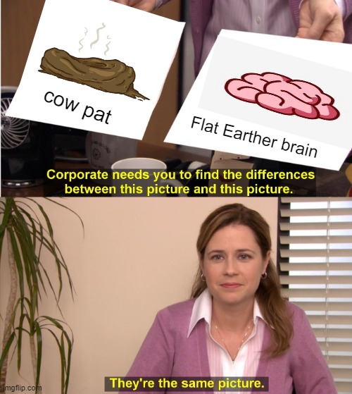 They're The Same Picture | cow pat; Flat Earther brain | image tagged in memes,they're the same picture | made w/ Imgflip meme maker