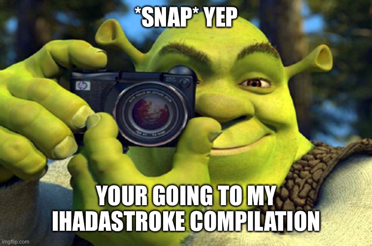 shrek camera | *SNAP* YEP YOUR GOING TO MY IHADASTROKE COMPILATION | image tagged in shrek camera | made w/ Imgflip meme maker