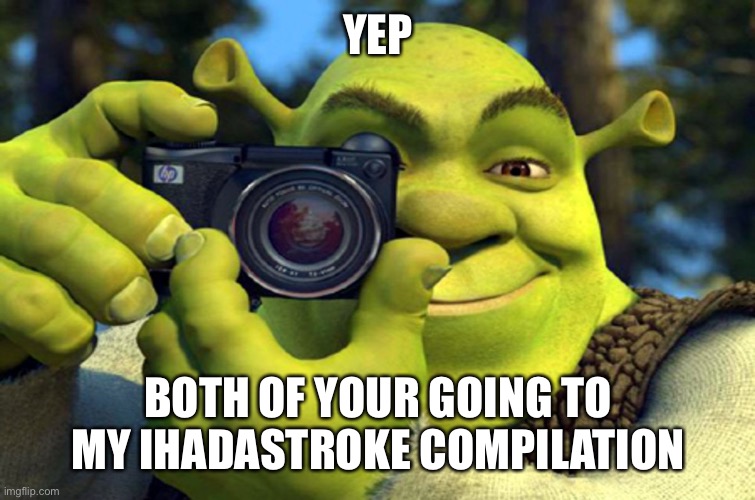 shrek camera | YEP BOTH OF YOUR GOING TO MY IHADASTROKE COMPILATION | image tagged in shrek camera | made w/ Imgflip meme maker