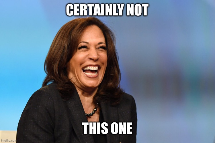 Kamala Harris laughing | CERTAINLY NOT THIS ONE | image tagged in kamala harris laughing | made w/ Imgflip meme maker