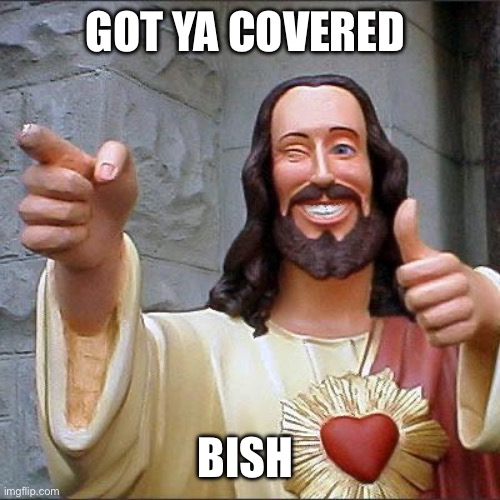 Buddy Christ Meme | GOT YA COVERED BISH | image tagged in memes,buddy christ | made w/ Imgflip meme maker