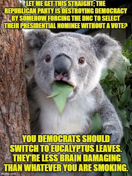 So tell us again, who's damaging democracy? | LET ME GET THIS STRAIGHT; THE REPUBLICAN PARTY IS DESTROYING DEMOCRACY BY SOMEHOW FORCING THE DNC TO SELECT THEIR PRESIDENTIAL NOMINEE WITHOUT A VOTE? YOU DEMOCRATS SHOULD SWITCH TO EUCALYPTUS LEAVES.  THEY'RE LESS BRAIN DAMAGING THAN WHATEVER YOU ARE SMOKING. | image tagged in surprised koala | made w/ Imgflip meme maker