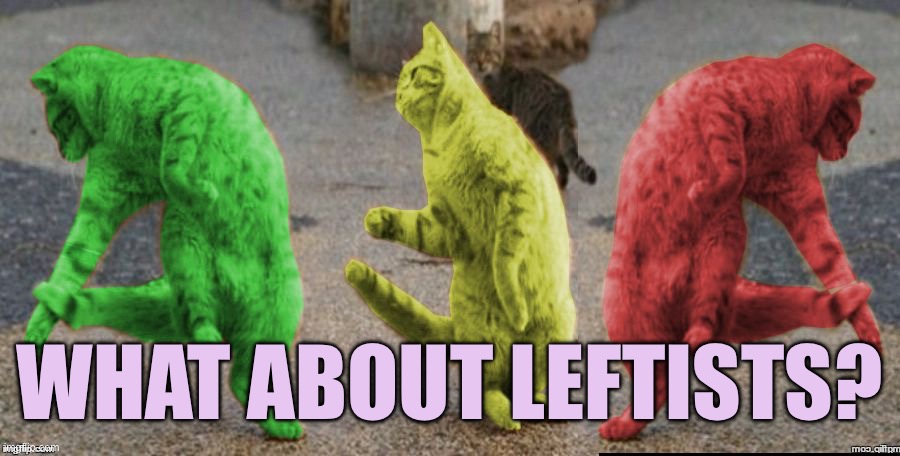 Three Dancing RayCats | WHAT ABOUT LEFTISTS? | image tagged in three dancing raycats | made w/ Imgflip meme maker