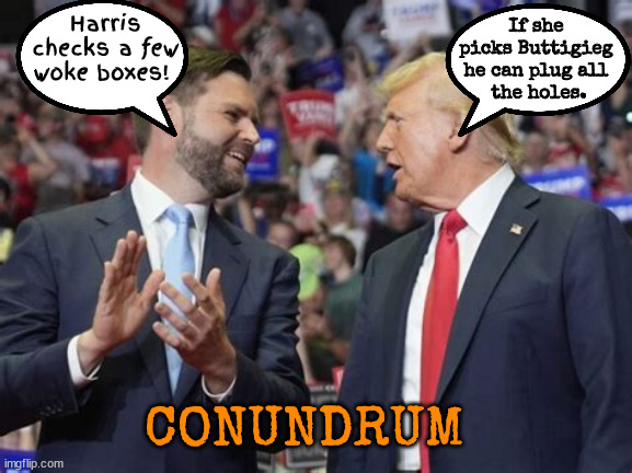 For Pete's sake! | If she picks Buttigieg he can plug all
 the holes. Harris checks a few woke boxes! CONUNDRUM | image tagged in harris vp,maga menagerie,wokemare,pete buttigieg,minorities majorities,conundrum | made w/ Imgflip meme maker