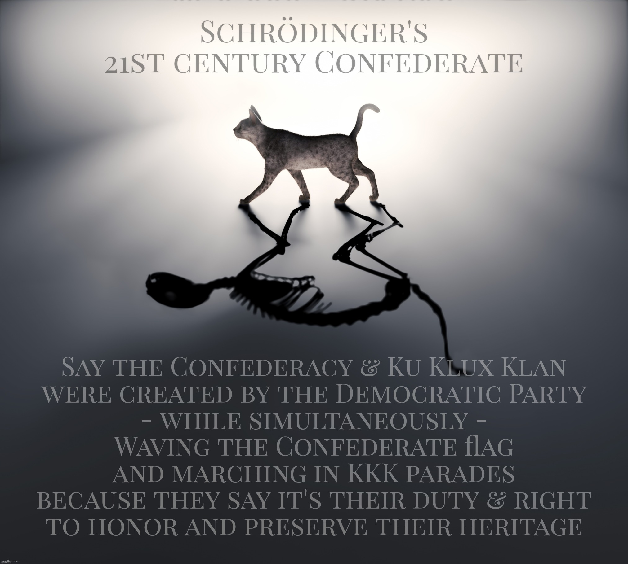 Schrödinger's 21st Century Confederate | Schrödinger's
21st century Confederate; Say the Confederacy & Ku Klux Klan
were created by the Democratic Party
- while simultaneously -
Waving the Confederate flag
and marching in KKK parades
because they say it's their duty & right
to honor and preserve their heritage | image tagged in schrodinger's cat,schrodinger's 21st century confederate,the confederacy,kkk,blaming democrats,embraced by  republicans | made w/ Imgflip meme maker