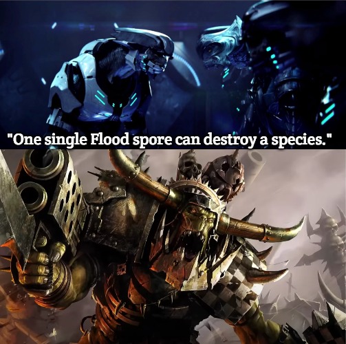 "One single Flood spore can destroy a species." | image tagged in rtas vadum,slavic | made w/ Imgflip meme maker