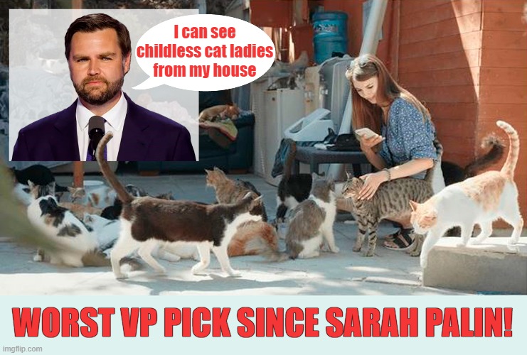 Worst VP pick since Sarah Palin! | I can see childless cat ladies
from my house; WORST VP PICK SINCE SARAH PALIN! | image tagged in jd vance,vice president,election 2024,cat lady,crazy cat lady | made w/ Imgflip meme maker